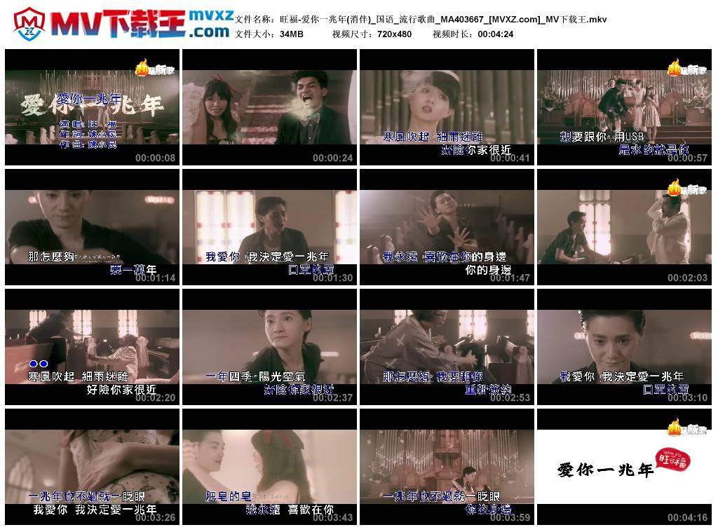 旺福-爱你一兆年(消伴)_国语_流行歌曲_MA403667